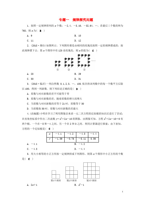 安徽省2019中考数学决胜二轮复习专题习题(打包6套)