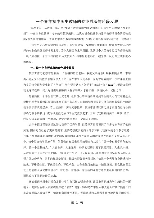 一个青年初中历史教师的专业成长与阶段反思-5页文档资料