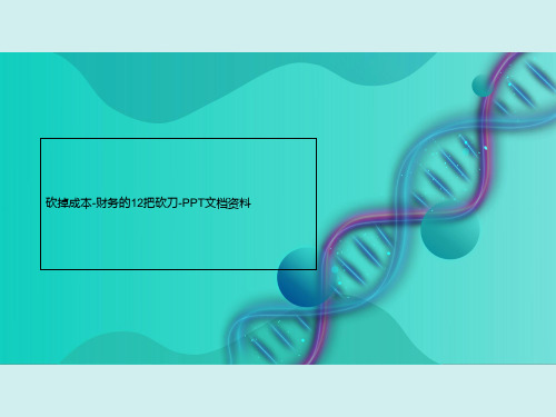 砍掉成本-财务的12把砍刀-PPT文档资料