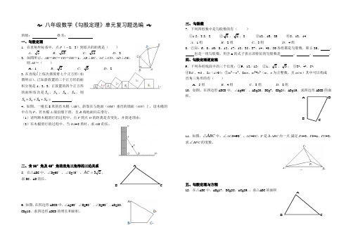 勾股定理专题复习学案