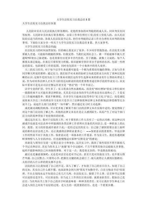 大学生法院实习自我总结5篇