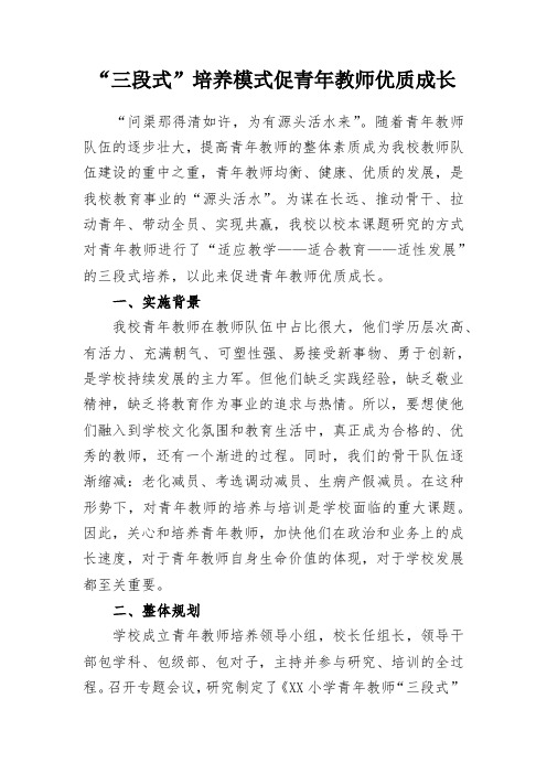 教学总结-“三段式”培养模式促青年教师优质成长