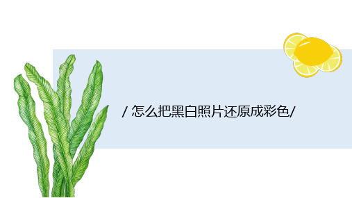 怎么把黑白照片还原成彩色？