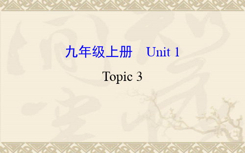 中考复习九年级英语上册 Unit 1 Topic 3