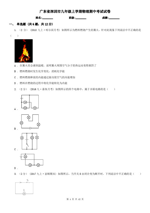 广东省深圳市九年级上学期物理期中考试试卷