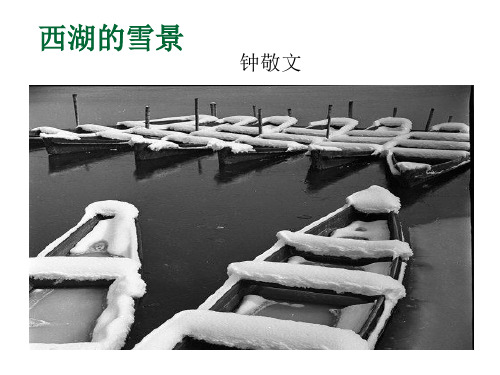 《西湖的雪景》
