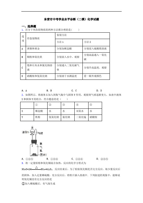 东营市中考学业水平诊断(二模)化学试题