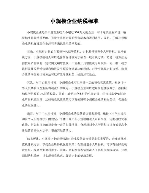 小规模企业纳税标准