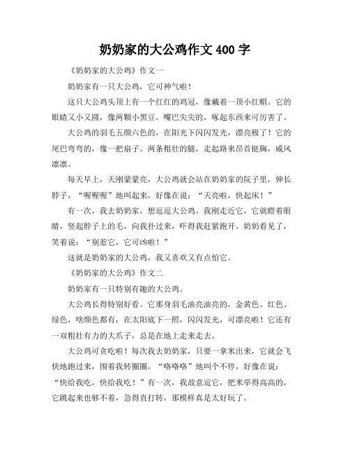 奶奶家的大公鸡作文400字