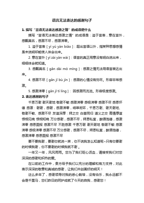 语言无法表达的感谢句子