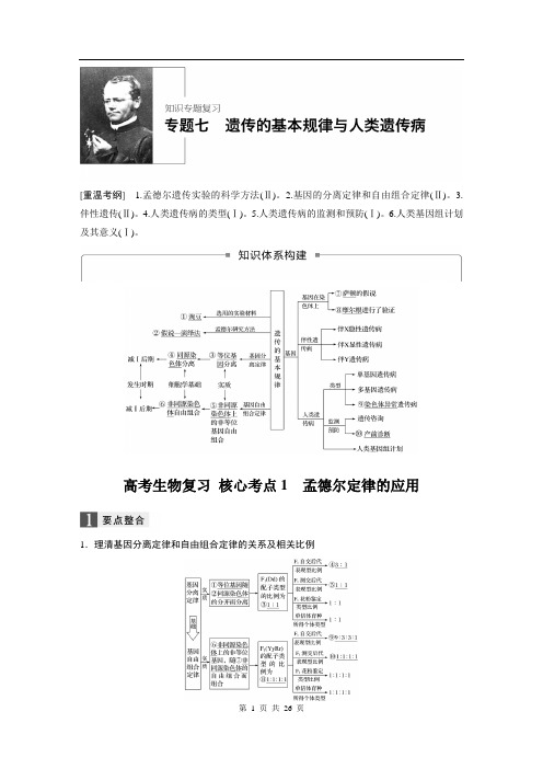 高考生物复习 专题七:遗传的基本规律和人类遗传病