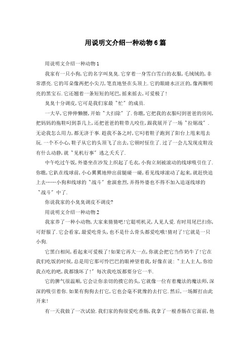 用说明文介绍一种动物6篇