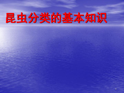 昆虫分类的基本知识ppt课件