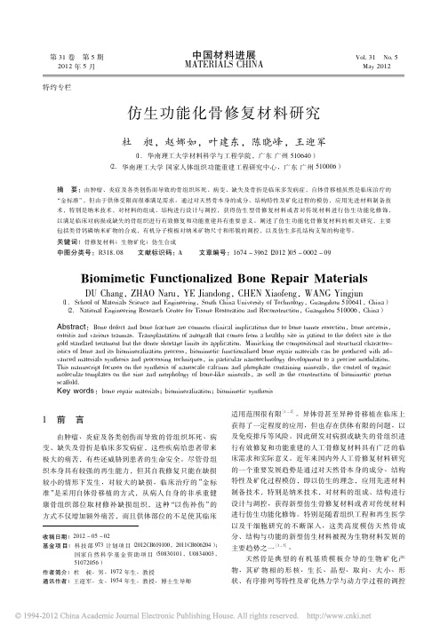 仿生功能化骨修复材料研究_杜昶