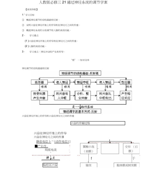 高中生物《2.1通过神经系统的调节》学案新人教版必修3