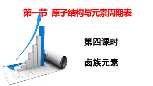 卤族元素  课件   高一上学期化学人教版(2019)必修第一册