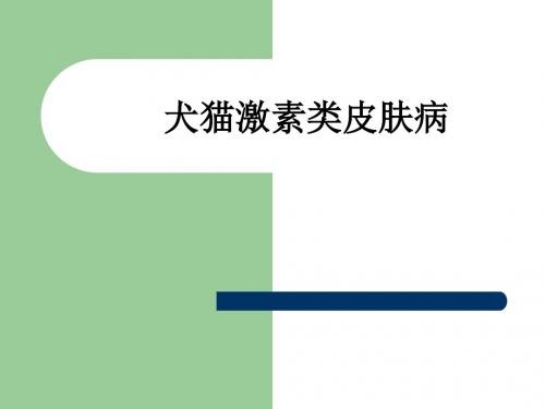 犬猫激素类皮肤病ppt课件