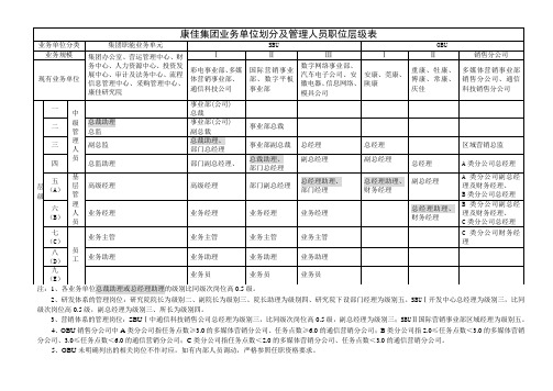 康佳集团干部分类定级表