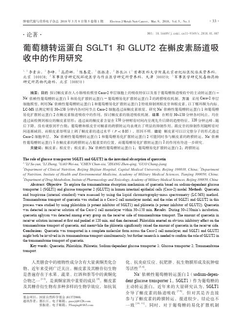 葡萄糖转运蛋白SGLT1和GLUT2在槲皮素肠道吸收中的作用研究