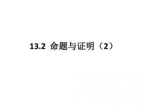 13.2.2命题与证明