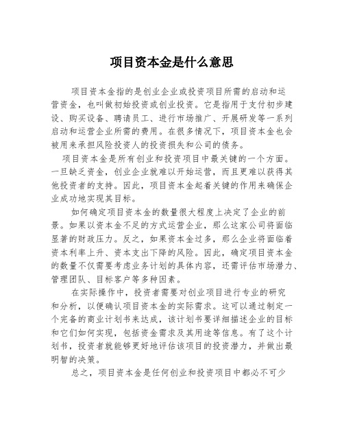 项目资本金是什么意思