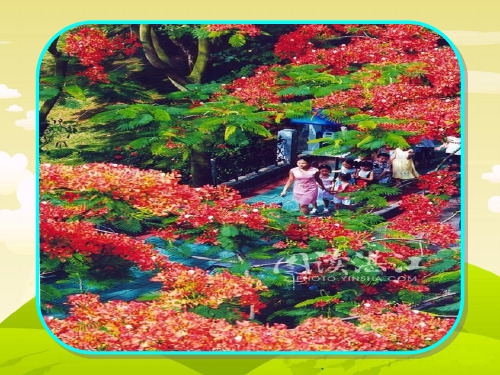二年级下语文课件欢乐的泼水节_苏教版