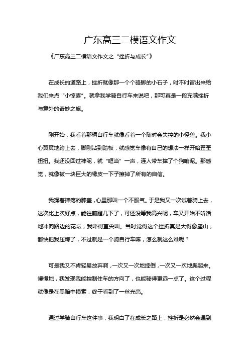 广东高三二模语文作文