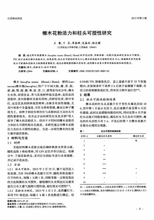 檫木花粉活力和柱头可授性研究