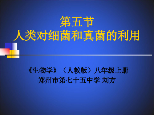 人教版初中生物八上4.5《人类对细菌和真菌的利用 》课件(共29张PPT)