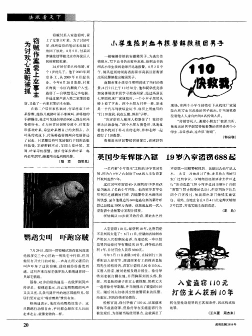 入室盗窃110元打伤主人获刑10年