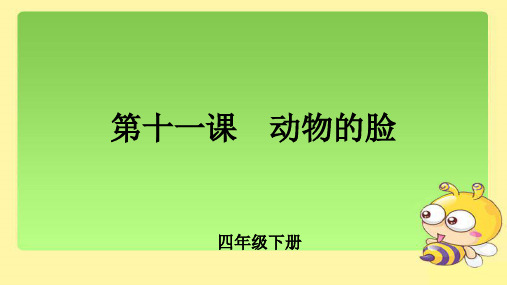 《动物的脸》公开课教学课件【小学美术四年级下册(人美版)】