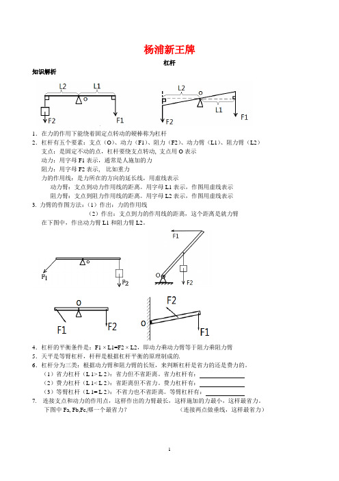 杨浦区中考补习班 新王牌初中物理陈A 杠杆平衡