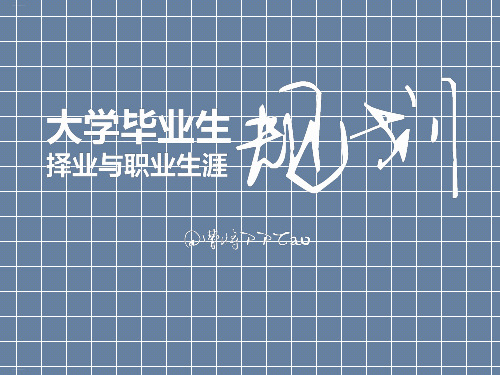 灰色风格大学毕业生职业规划模板PPT
