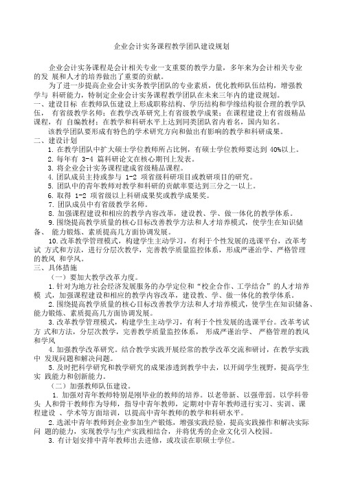 企业会计实务课程教学团队建设规划