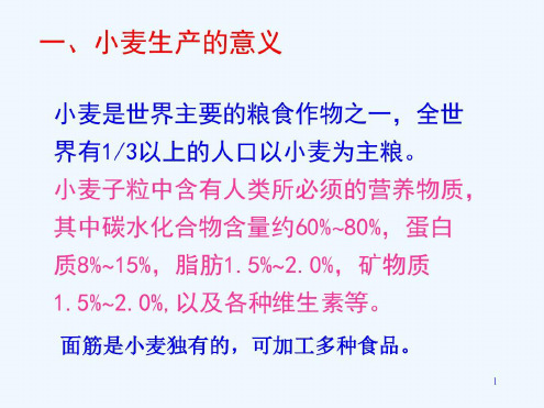 小麦生产技术-2023年学习资料