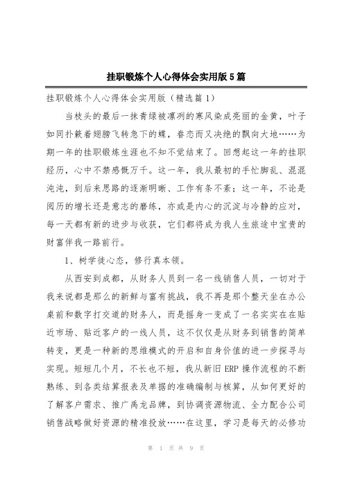 挂职锻炼个人心得体会实用版5篇