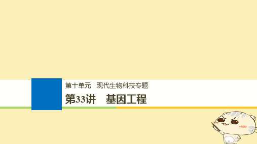 (浙江选考)2020版高考生物一轮总复习第十单元现代生物科技专题第33讲基因工程课件