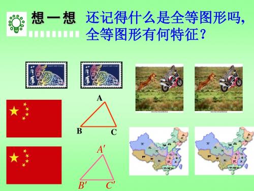 形状相同的图形和相似图形(上课)