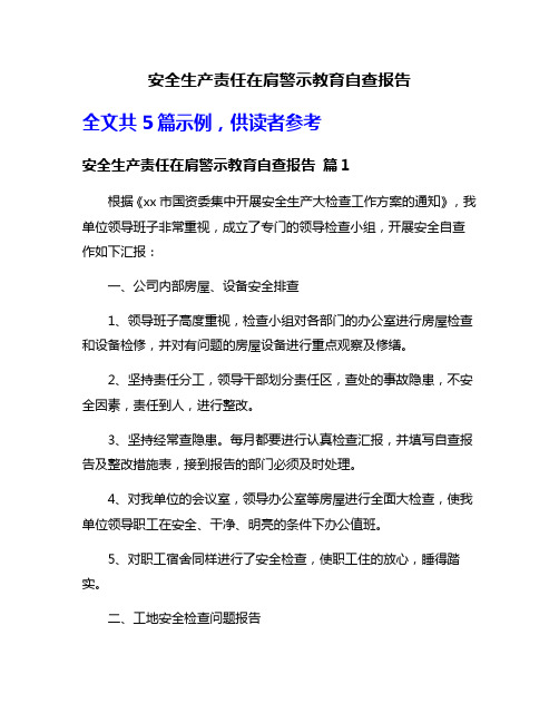 安全生产责任在肩警示教育自查报告