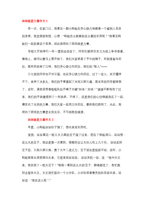 团结就是力量大的事例日常作文