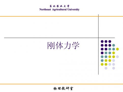 刚体力学