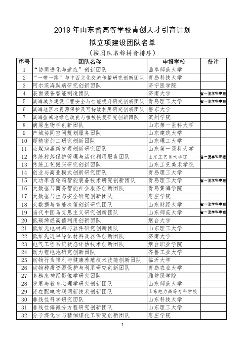 2019年山东省高等学校青创人才引育计划拟立项建设团队名单