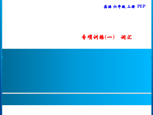 人教PEP版六年级上册英语习题专项训练(一)词汇