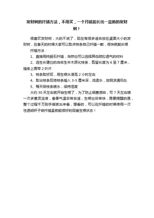 发财树的扦插方法，不用买，一个月就能长出一盆新的发财树！