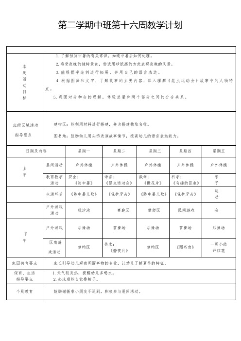 第16周计划