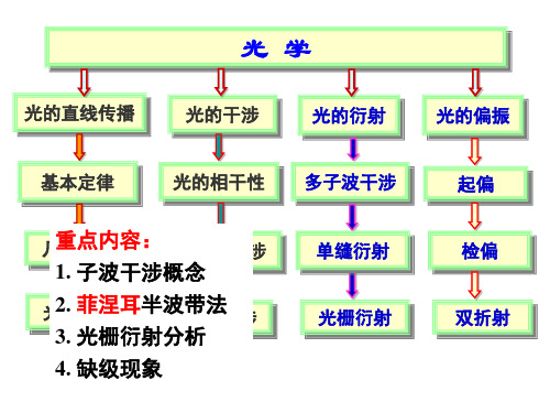 第12章-波动光学(二)剖析