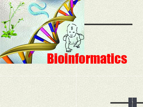 生物信息学 序列分析