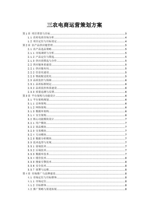 三农电商运营策划方案