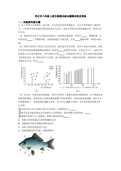 枣庄市八年级上册生物期末综合题测试卷及答案