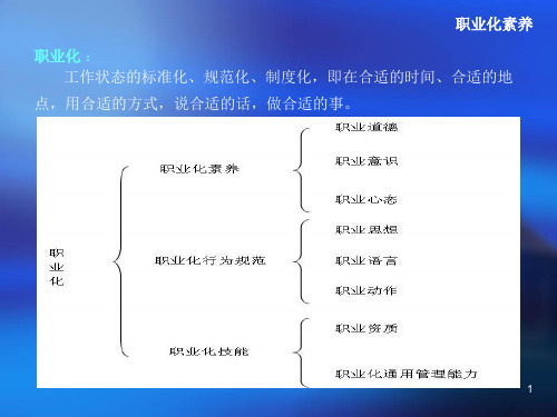 职业化素养